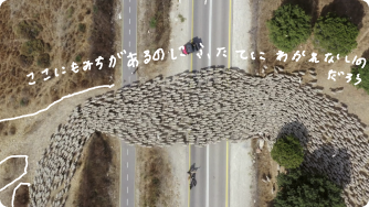 キヅキランドとは?